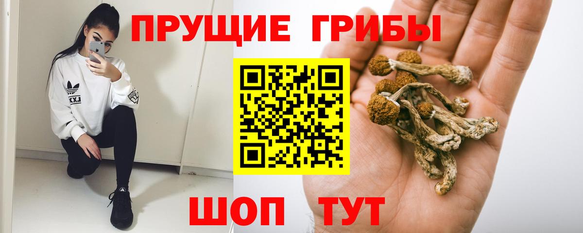 Аша  Псилоцибиновые грибы Psilocybine cubensis  Галлюциногенные грибы Psilocybe  Вход с VPN 