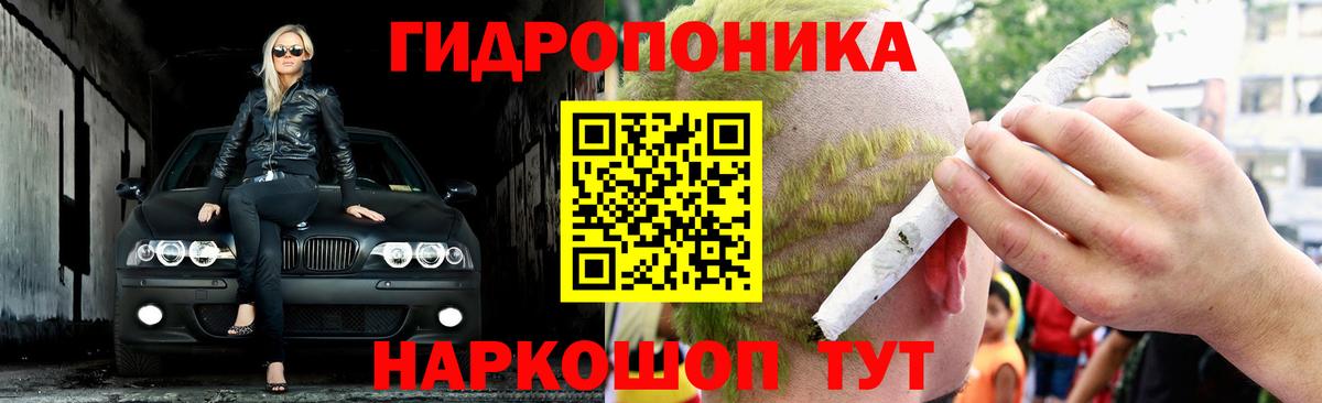 Конопля индика Аша